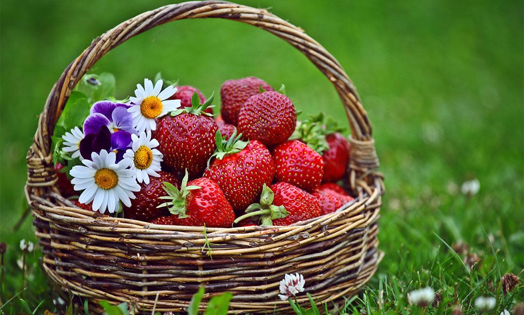 河源点呀点水果电商APP开发案例